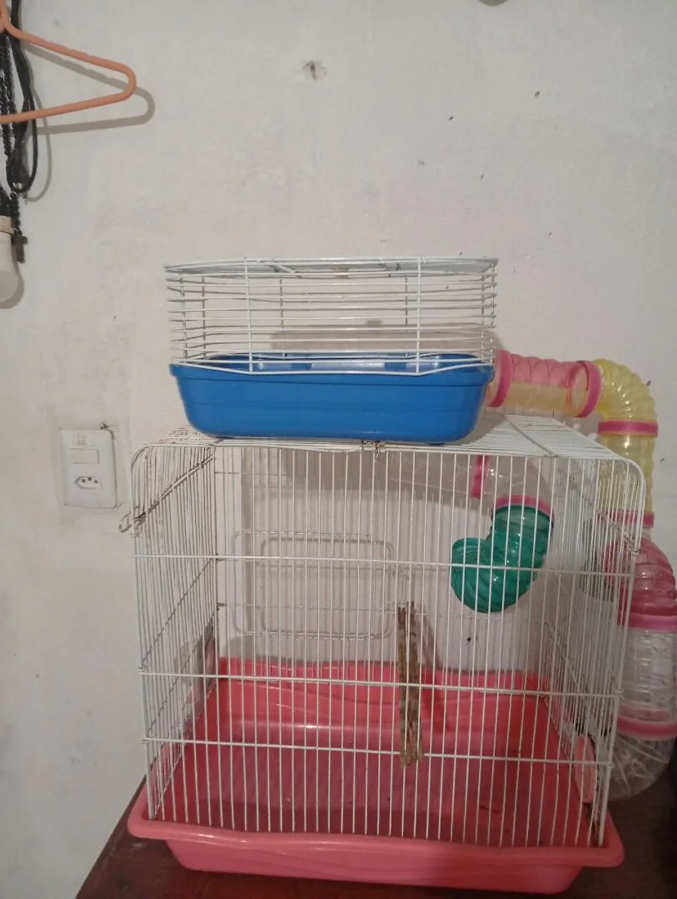 Gaiola para roedores