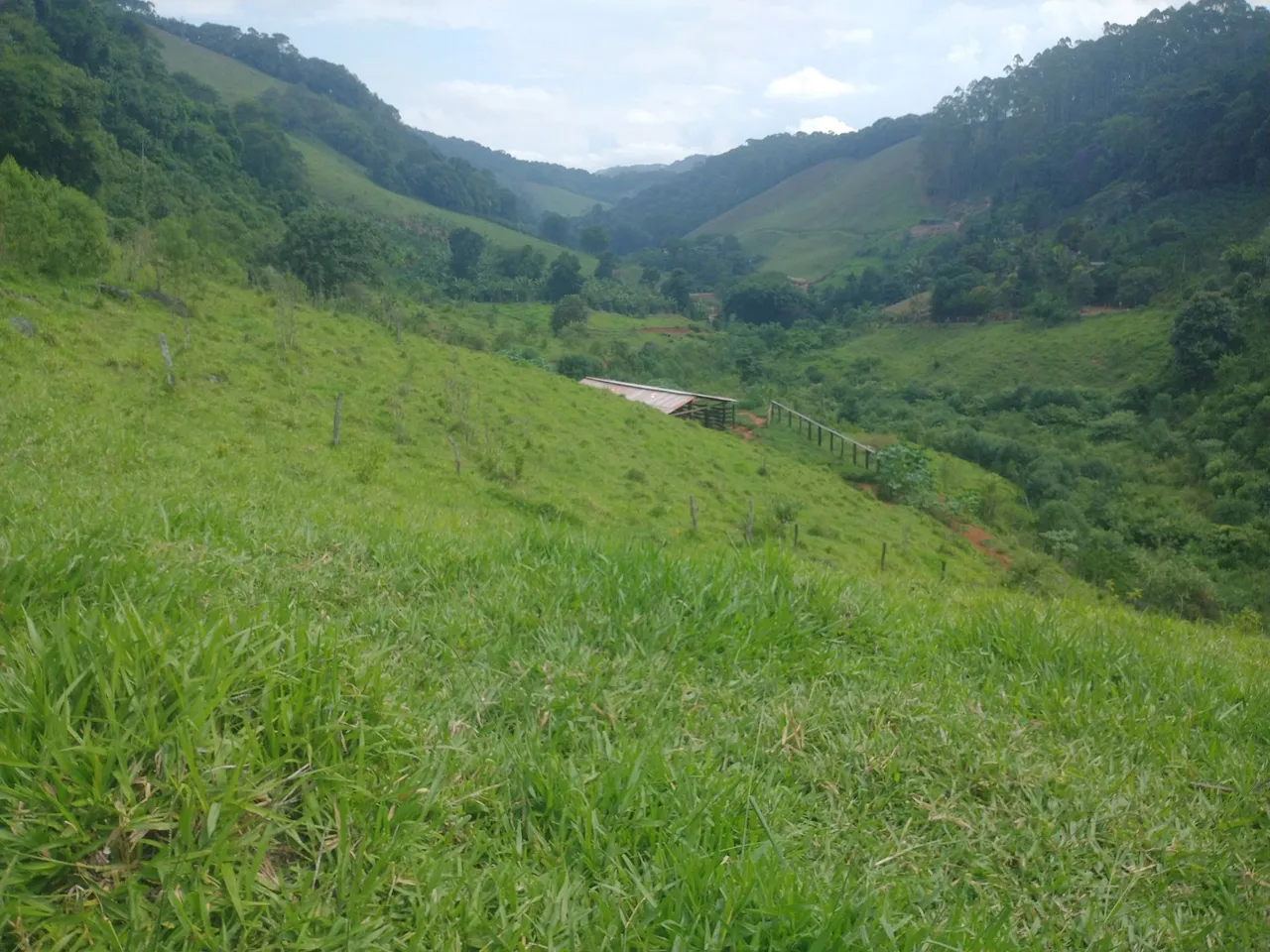Propriedades domingo Martins 6 alqueires