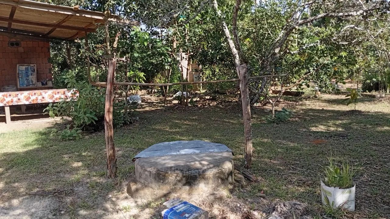 Troco sítio com ponto comercial na estrada de Autazes  - Foto 5