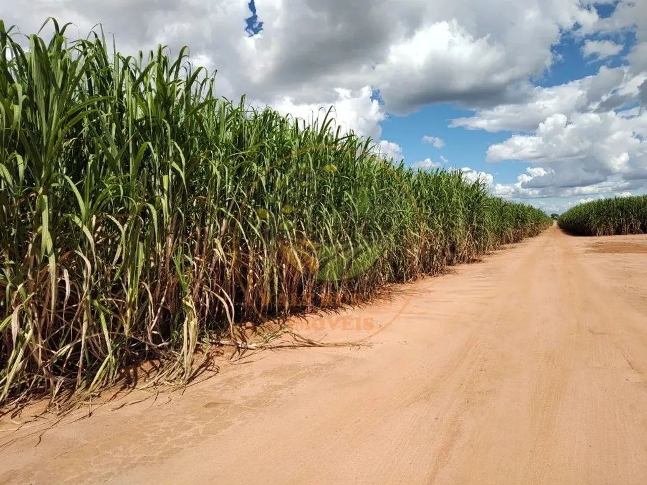 FAZENDA DE 800 HECTARES EM SÃO GONÇALO DO ABAETÉ - MG FA00253