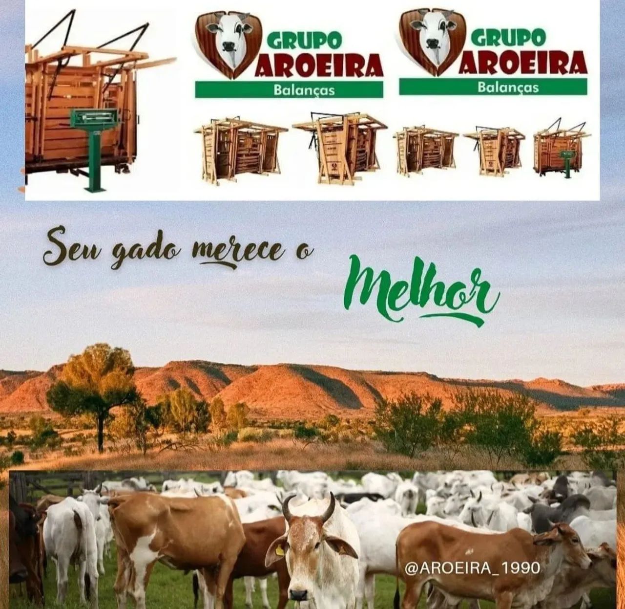 Balanças para gado - Grupo Aroeira