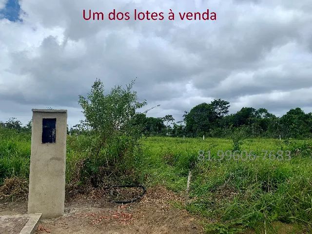 Lote 1.000m2 condomínio Jardins de Aldeia - Foto 13