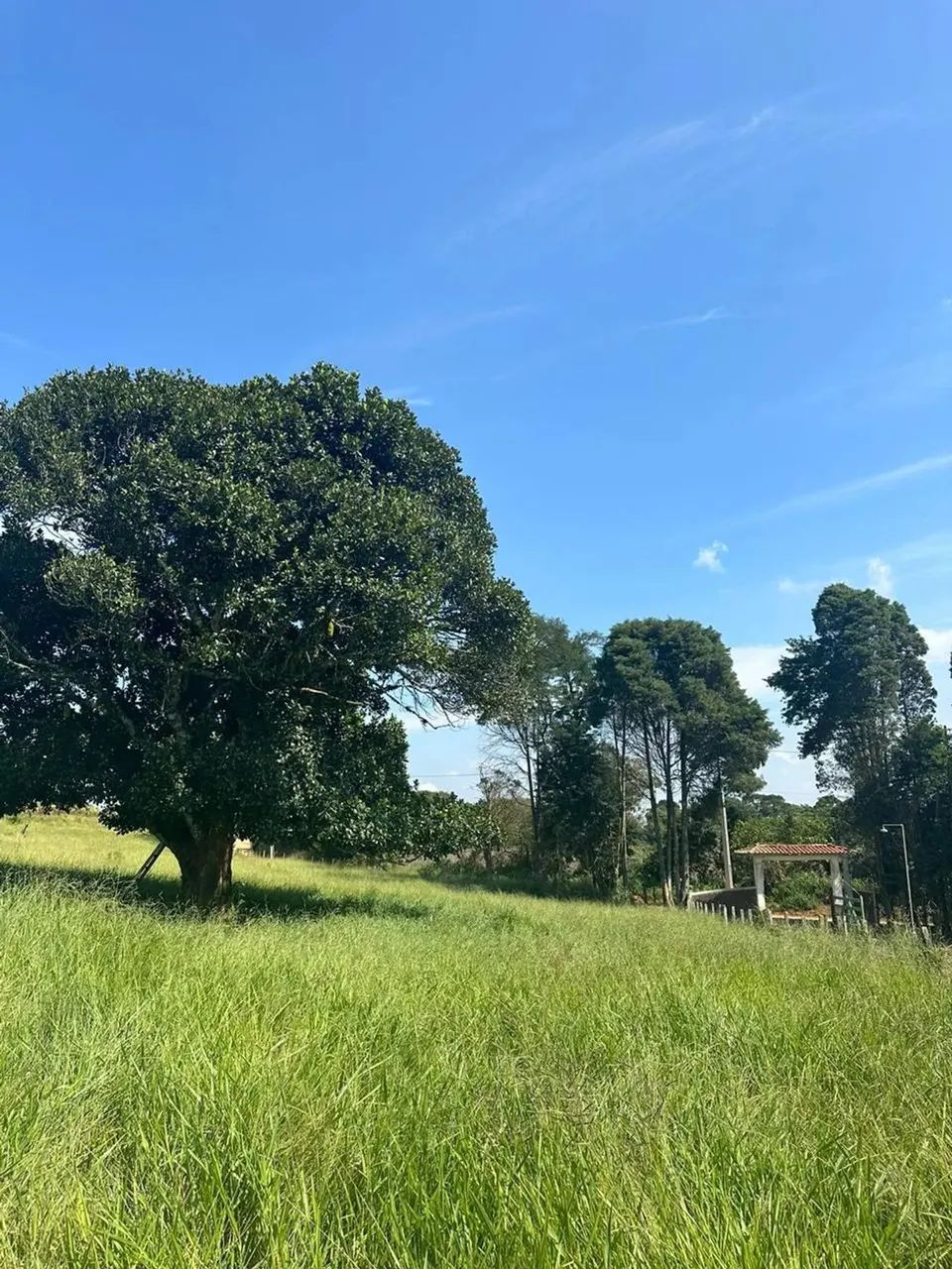 Invista no Seu Futuro: Terreno em Ibiúna, Cidade em Crescimento Valorizado! - Foto 3