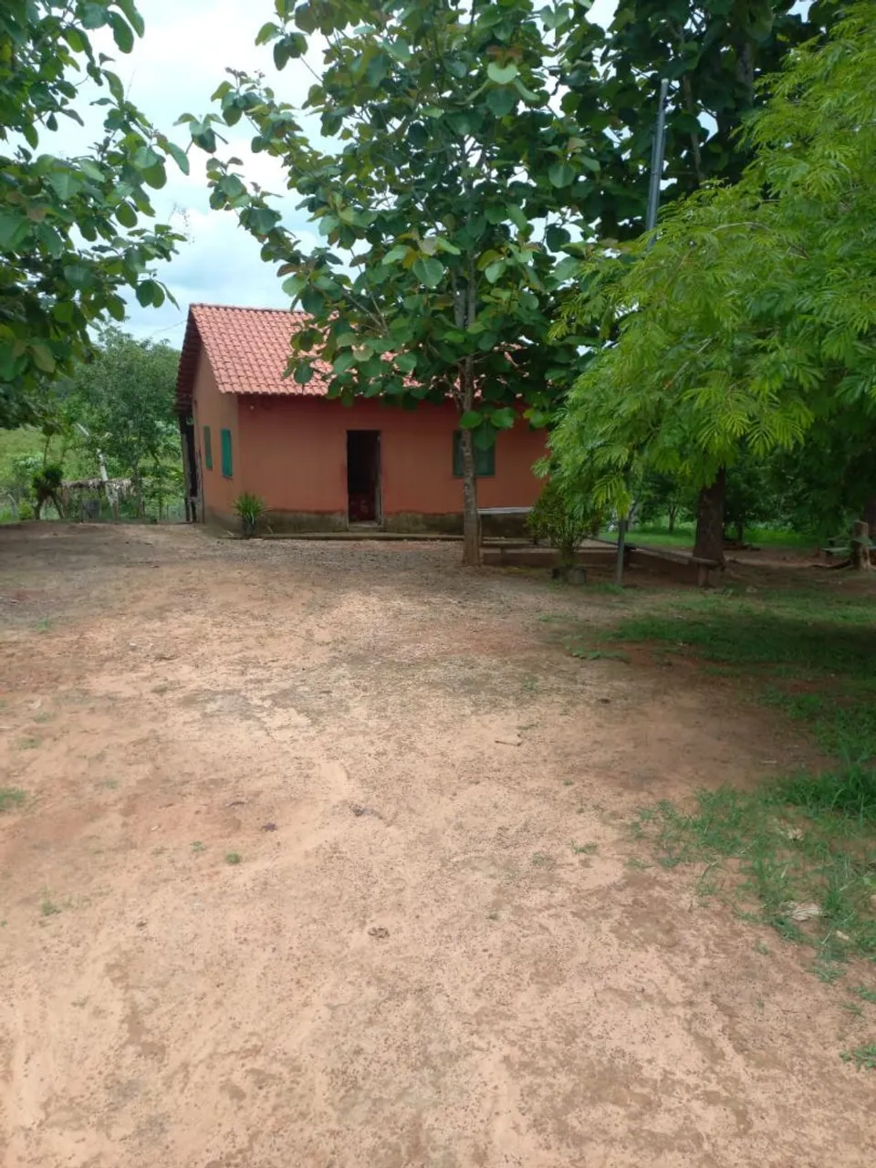 Vendo colônia de 10 hectares