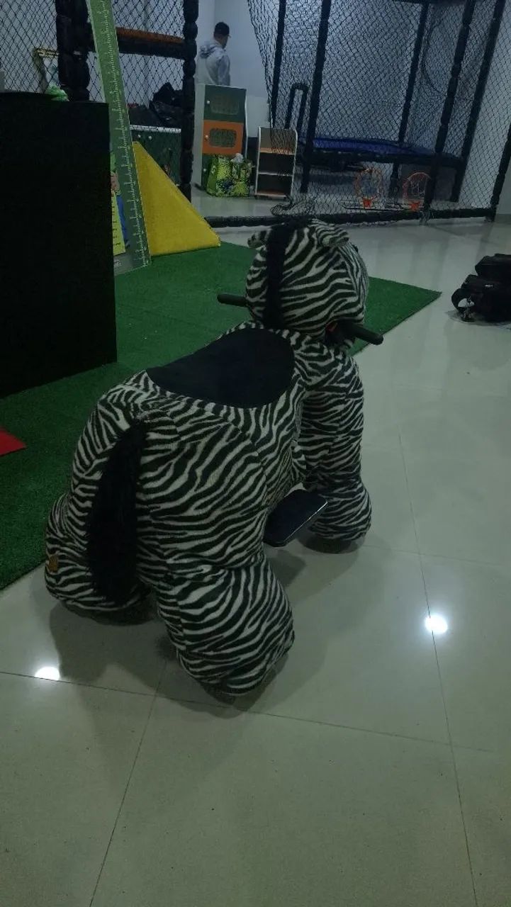 Zebra motorizada  - Foto 5