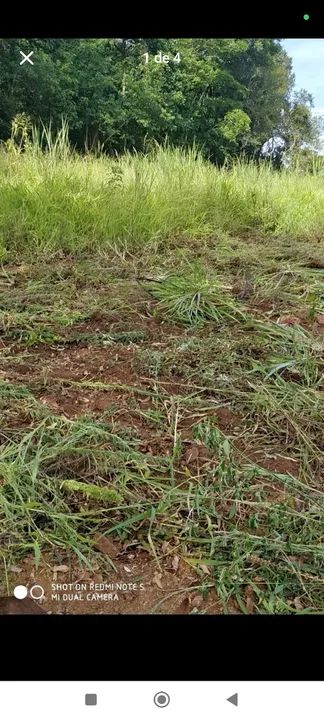 Chácara 8.000m2 Estrada São Domingos - Foto 4