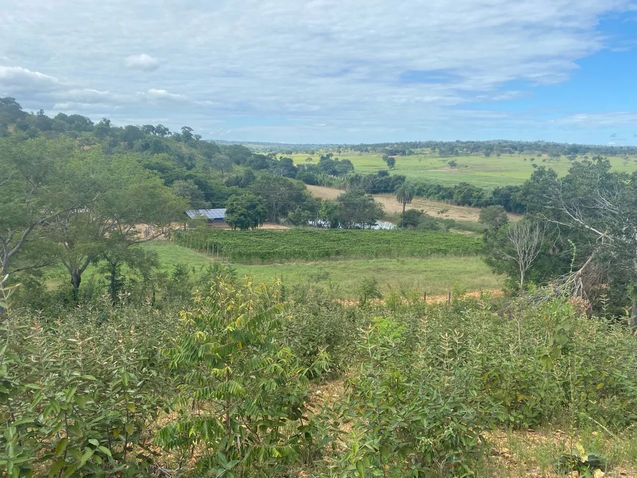 Polpa de maracujá - Foto 4