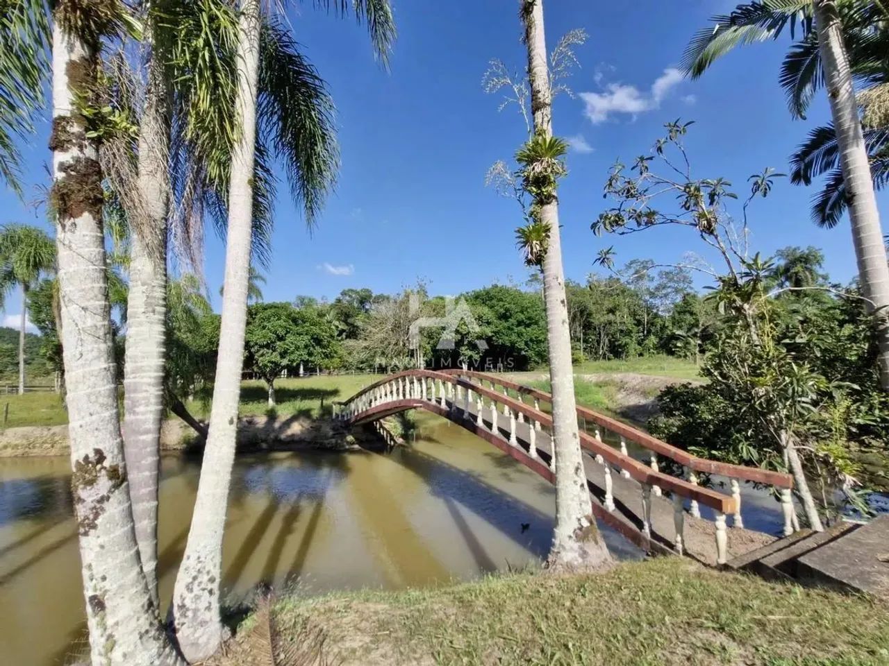 Fazenda à Venda/Tudo no Bairro Tibagi com 400 m² e 6 dormitórios/quartos - Foto 4