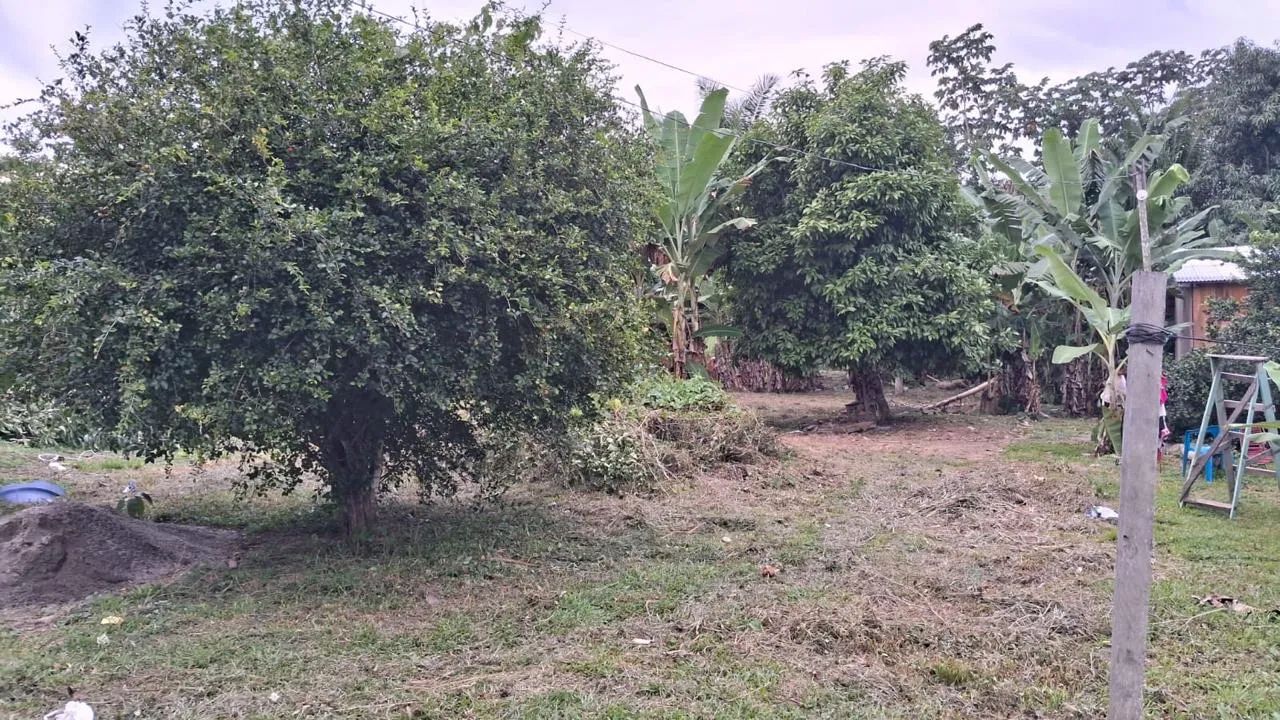 Vendo terreno 10x40 Apolônio Sales, aceito proposta - Foto 4