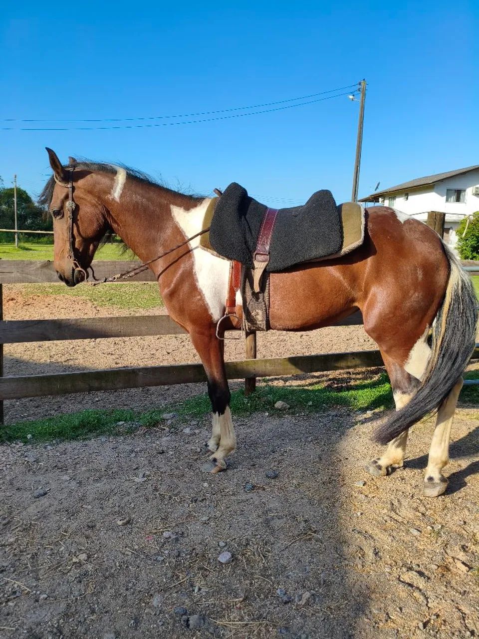 Égua manga larga máquina de marchar  - Foto 2