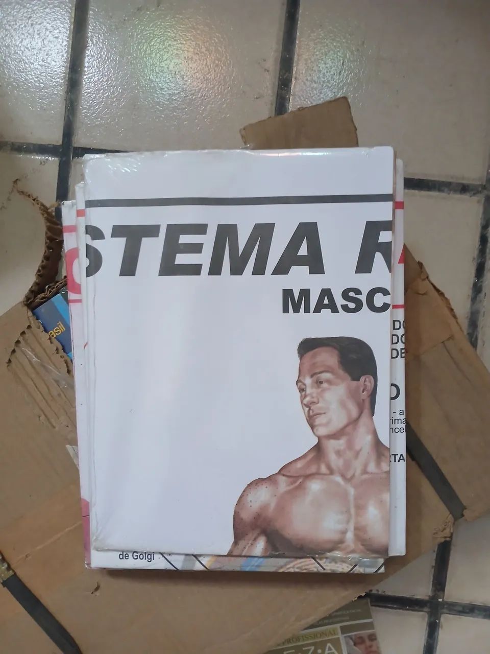 Mapa Dobrado vários temas