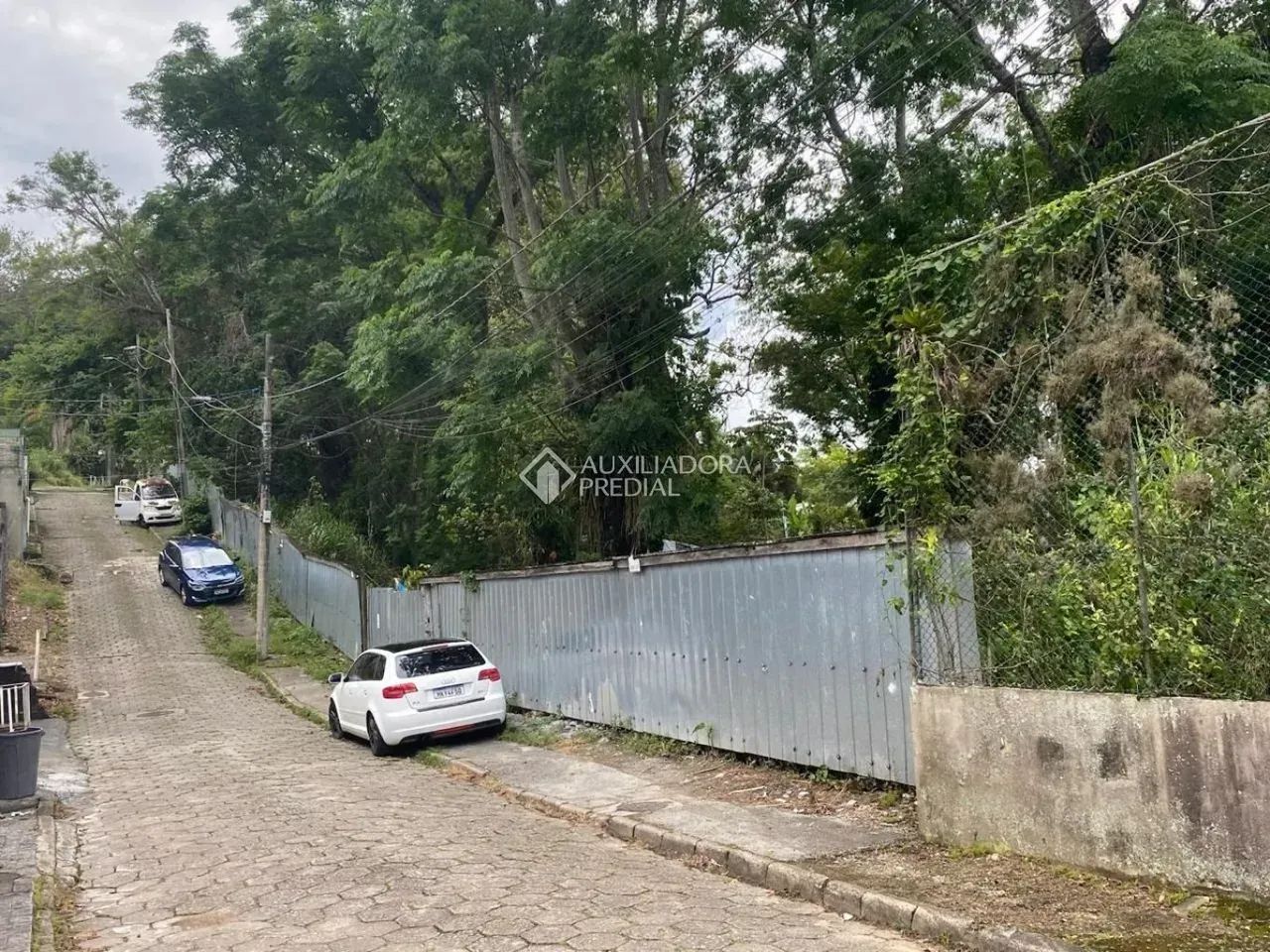 Terreno a Venda no bairro Córrego Grande - Foto 5