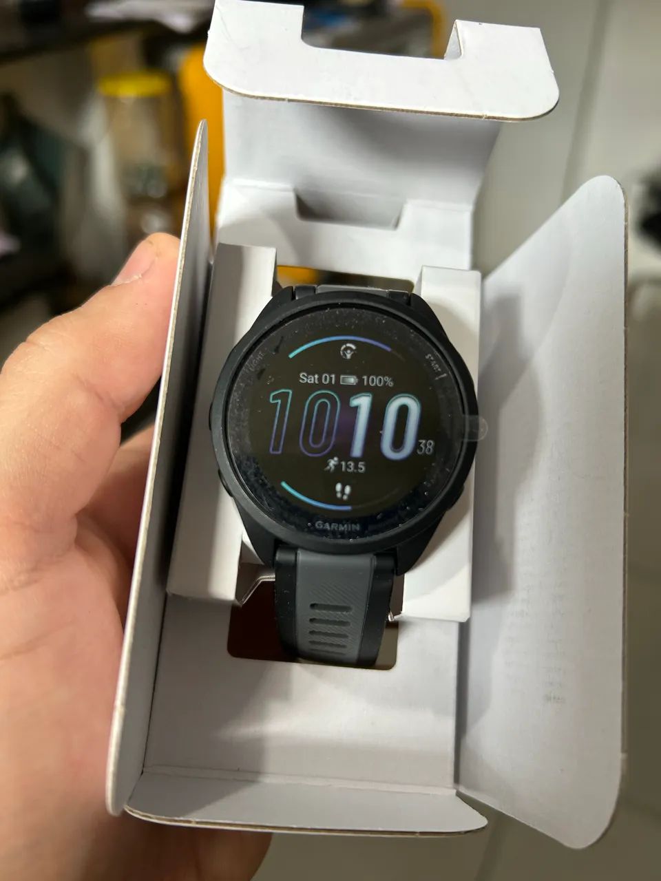 Garmin 165