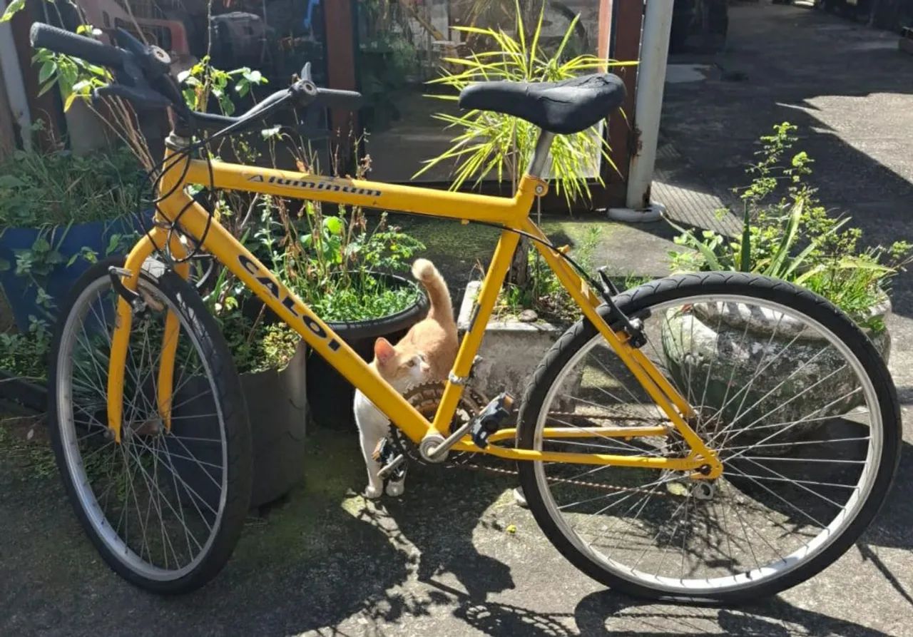 Bicicleta Caloi alumínium - Foto 2