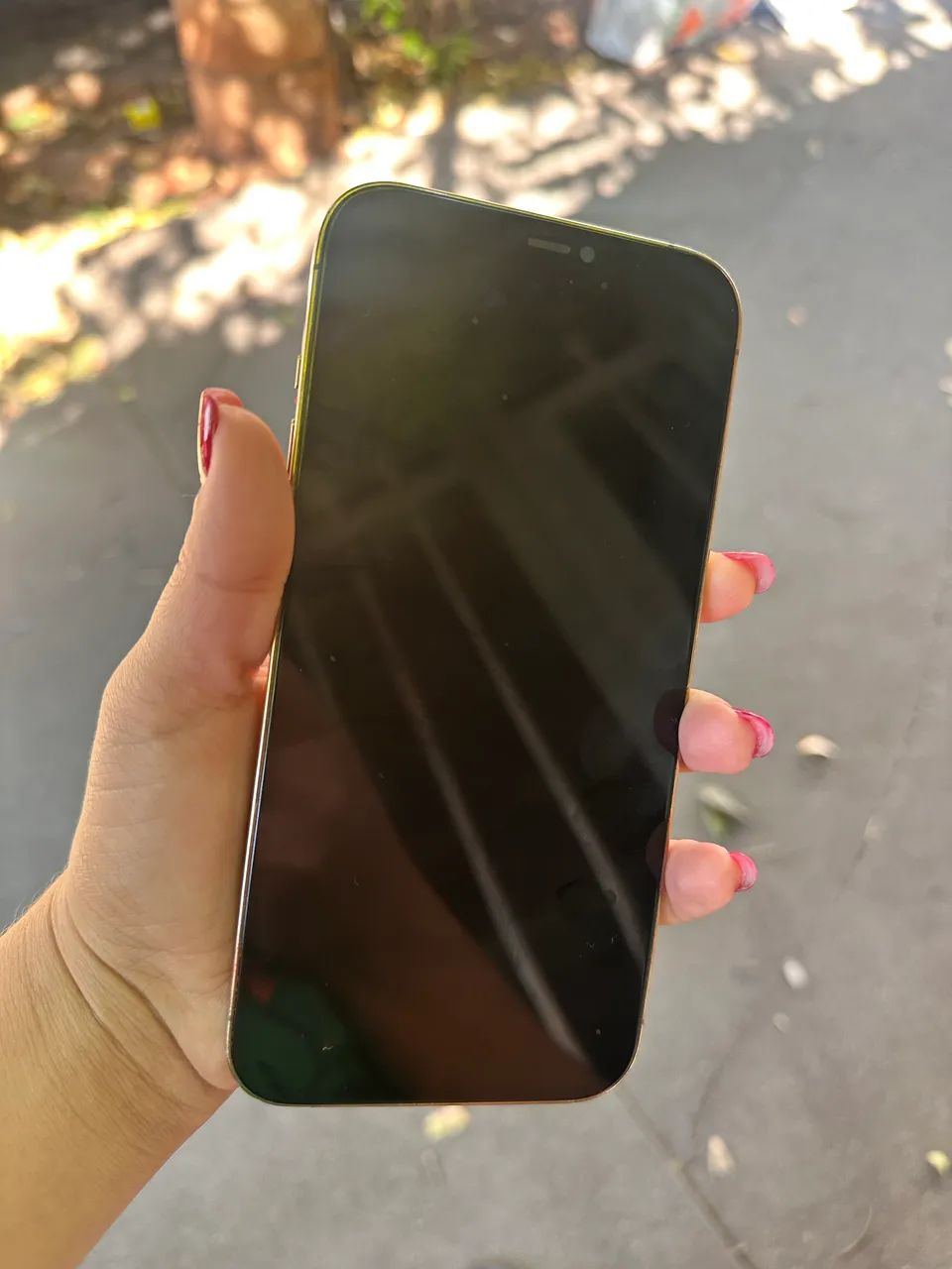 iPhone 12 Pro Max 