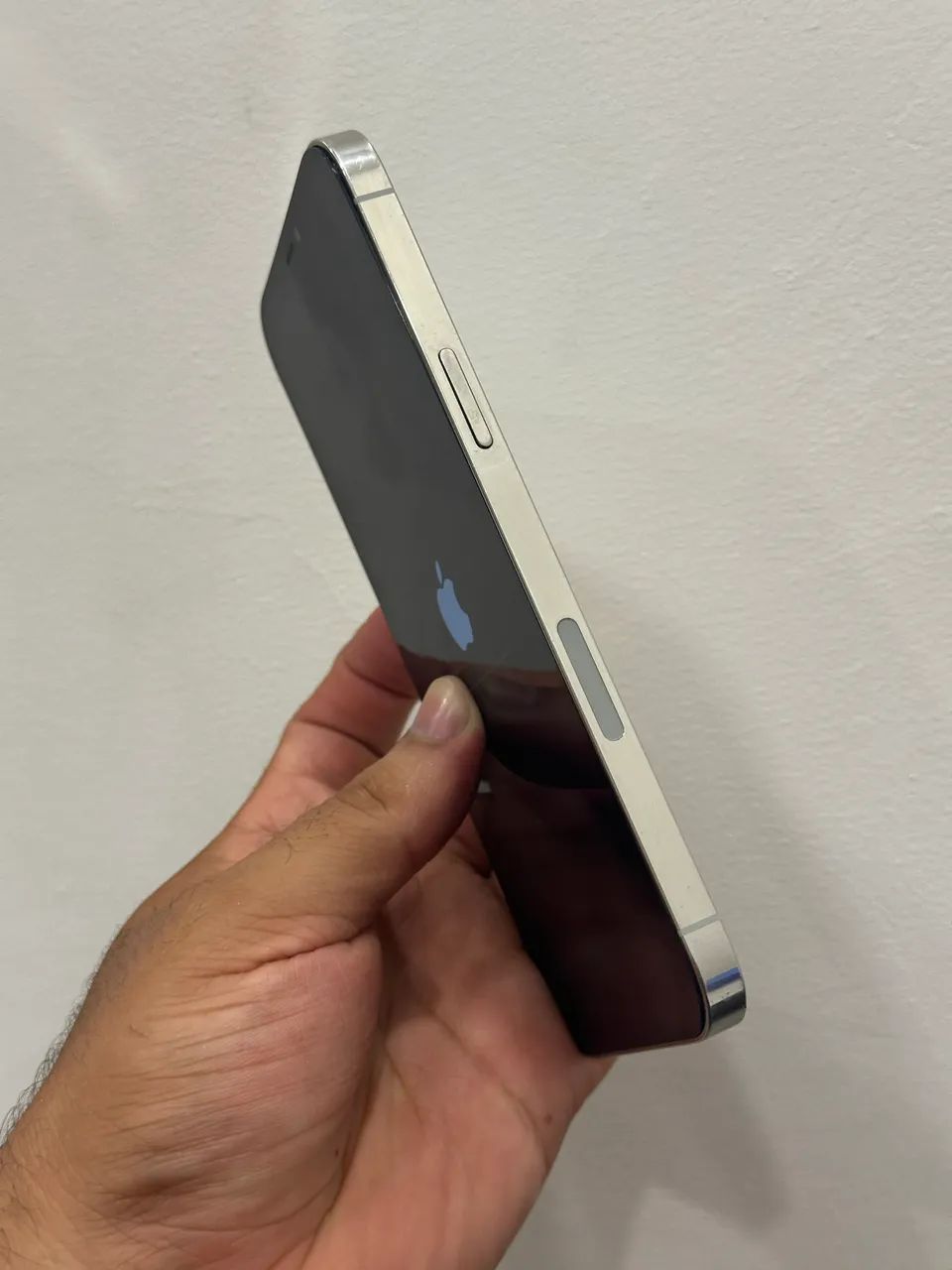 iPhone 12 Pro Max 128GB - Celulares e Smartphones - Benedito