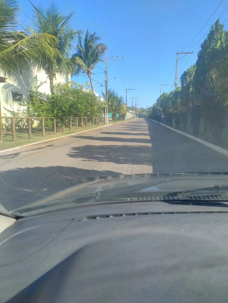 Terreno em Abrantes - Foto 2