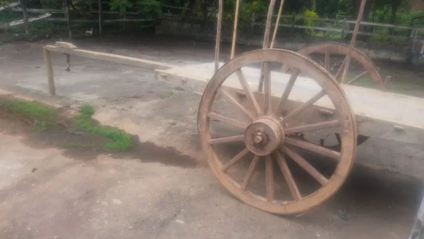 Carroção para Bois - Foto 4