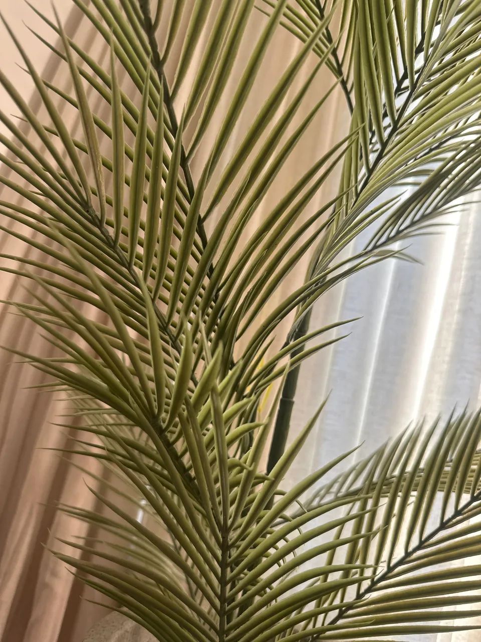 Vendo vaso com planta  - Foto 4