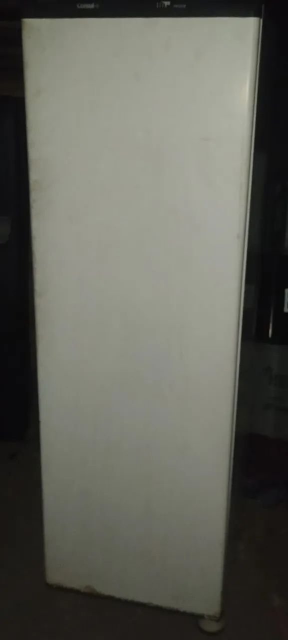 Vendo frizer funcionando perfeitamente 