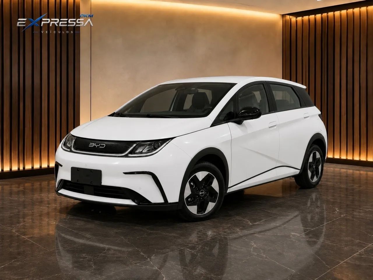 BYD Dolphin GS (Elétrico) 2027 - Foto 2