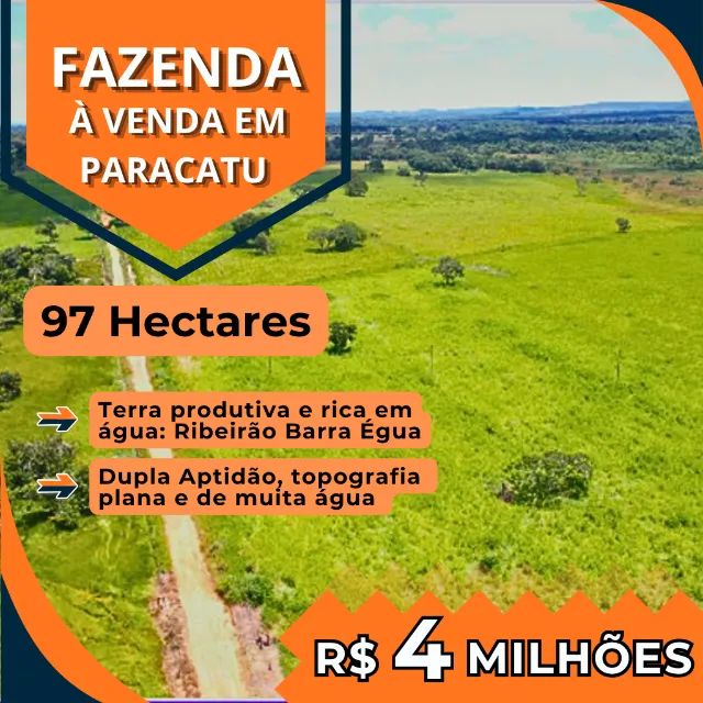 Fazenda 97 hectares