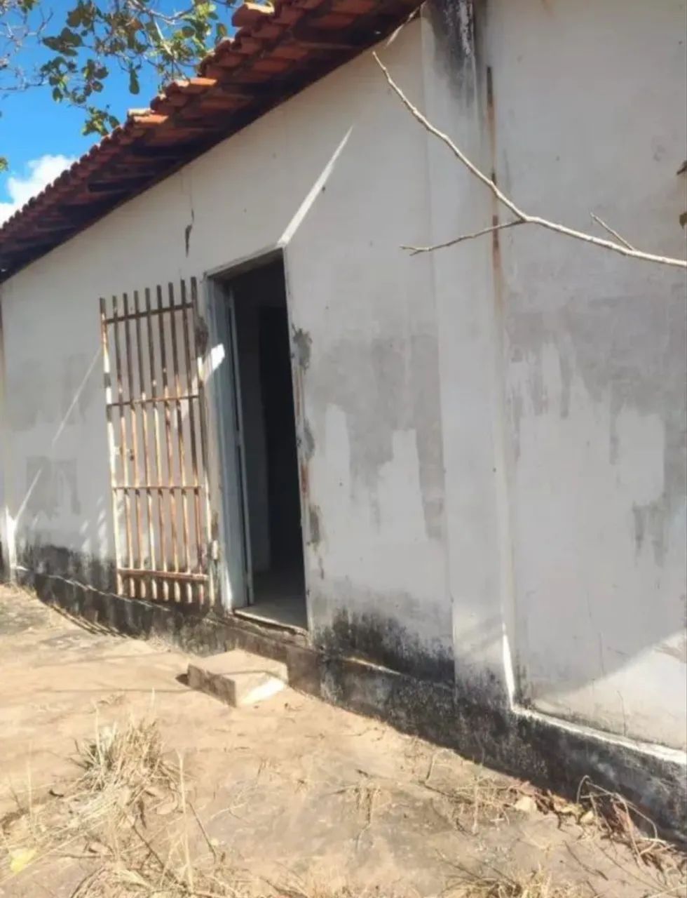 Chácara com rio em barreiras 2,5 hectares  - Foto 4