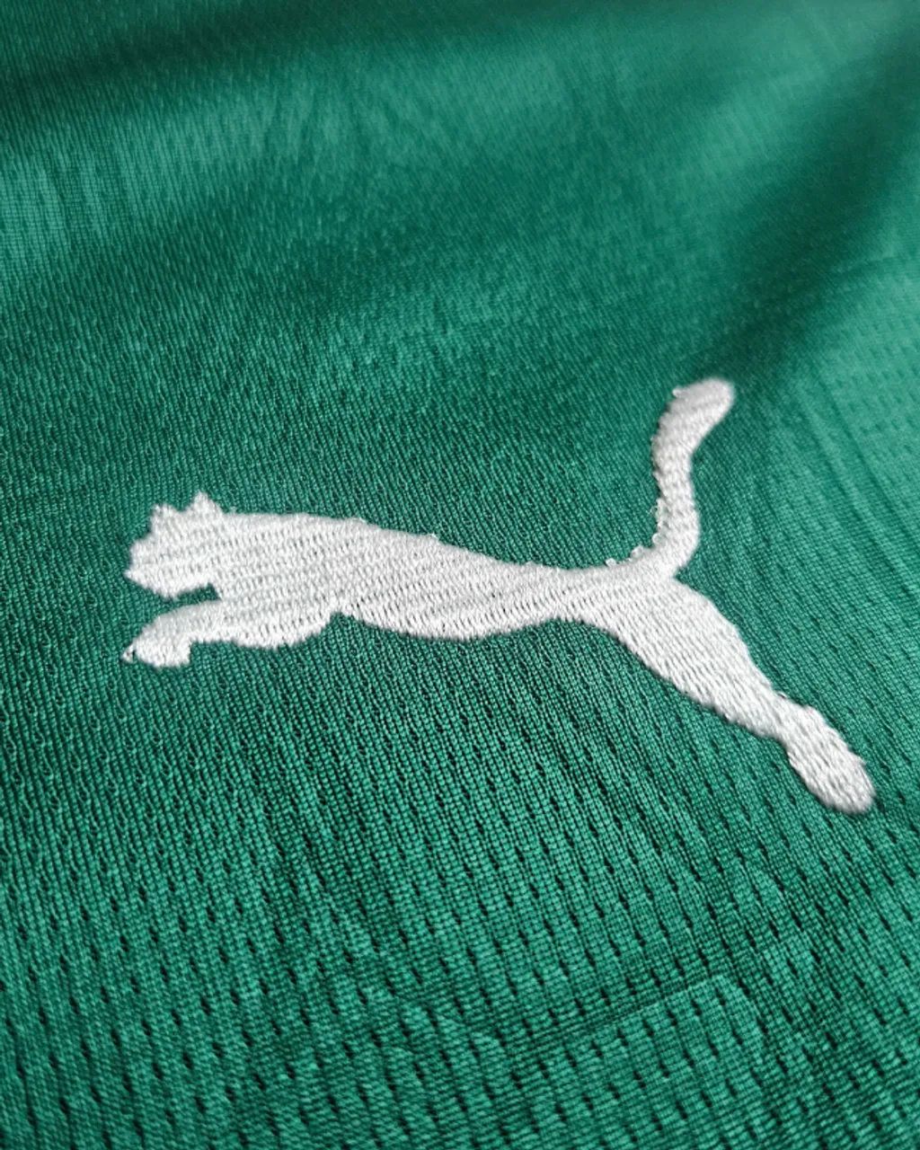 Camisa do Palmeiras I Verde 2025/26 - Foto 3