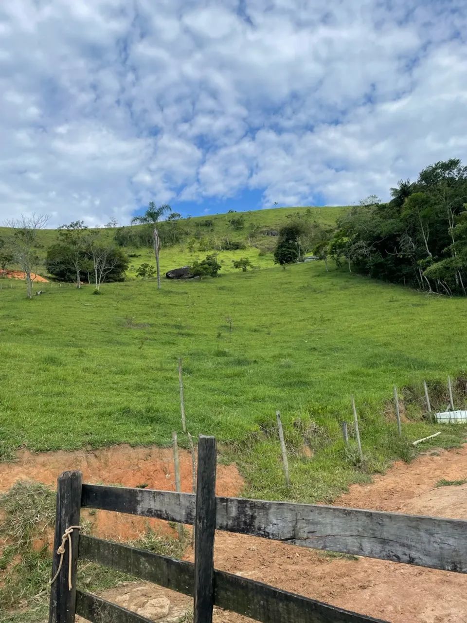 Sítio sjc vender ou alugar  - Foto 2