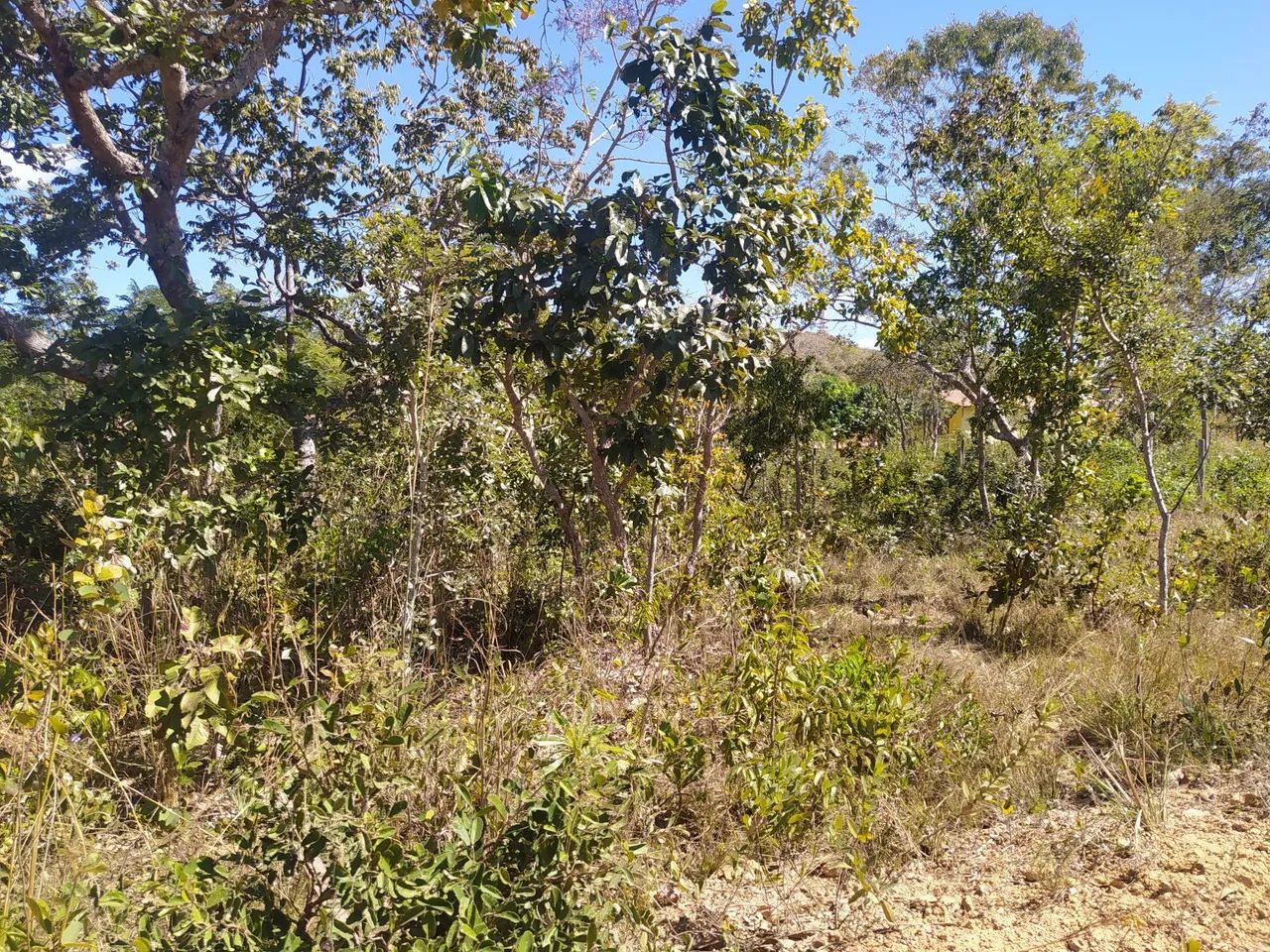 Lote no Lago serra da mesa - Foto 3