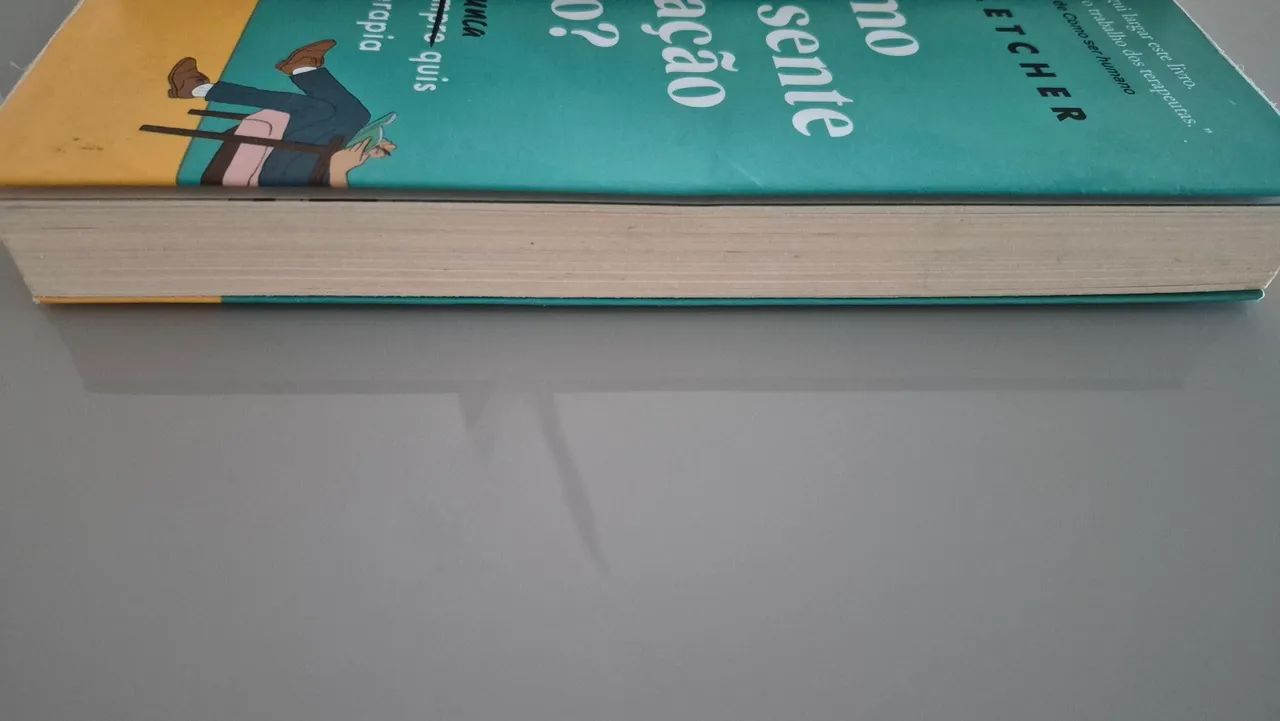 E E COMO VOCÊ SE SENTE EM RELAÇÃO A ISSO - Foto 2
