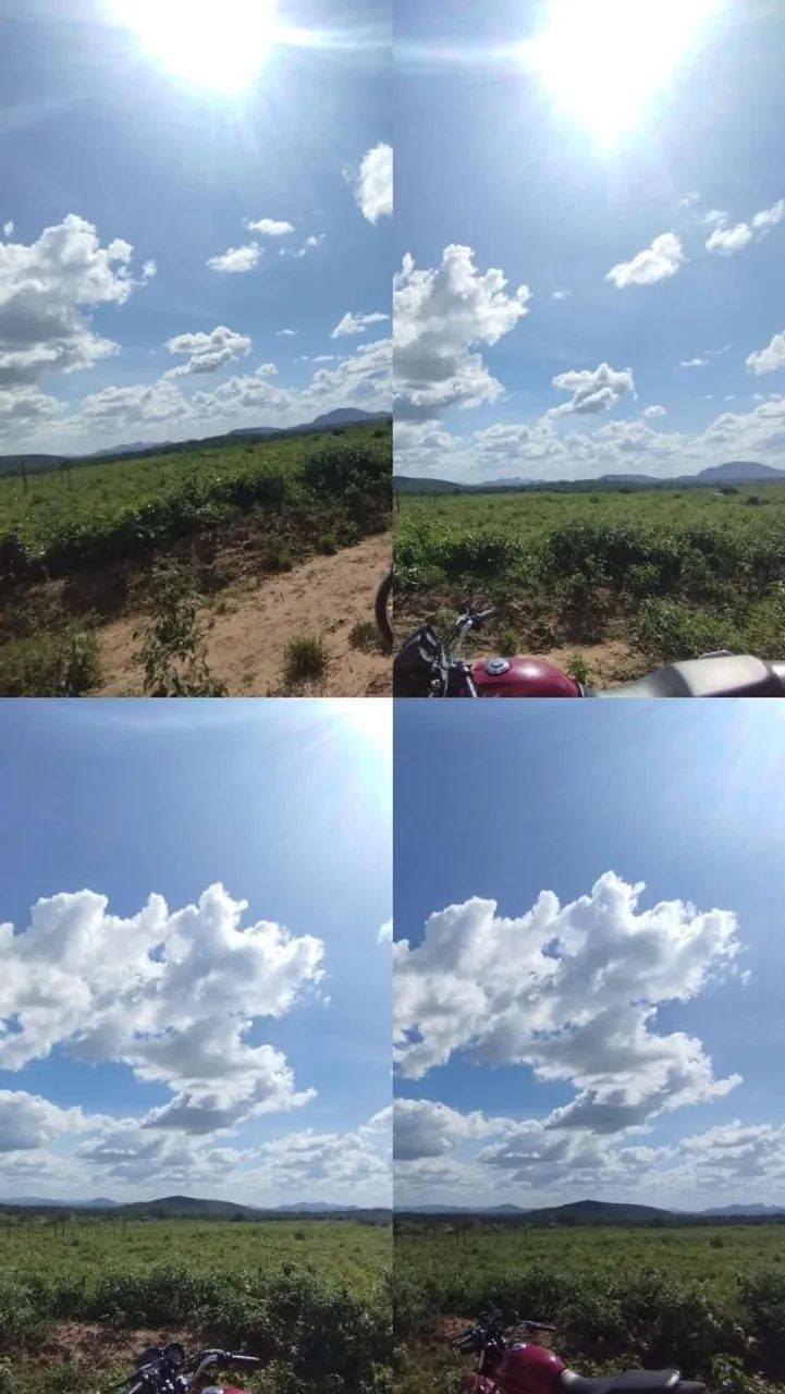 Vendo terreno!