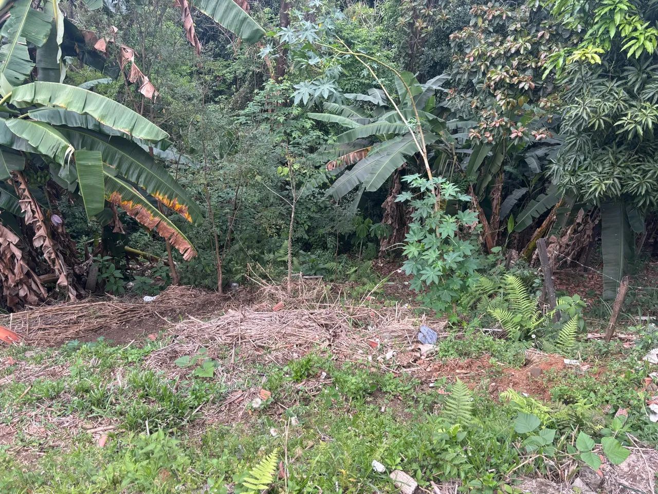 Terreno enorme no final do retiro  - Foto 5