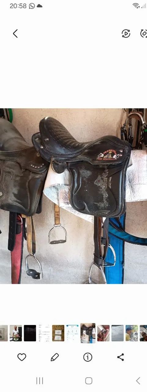 Assessórios para cavalos 