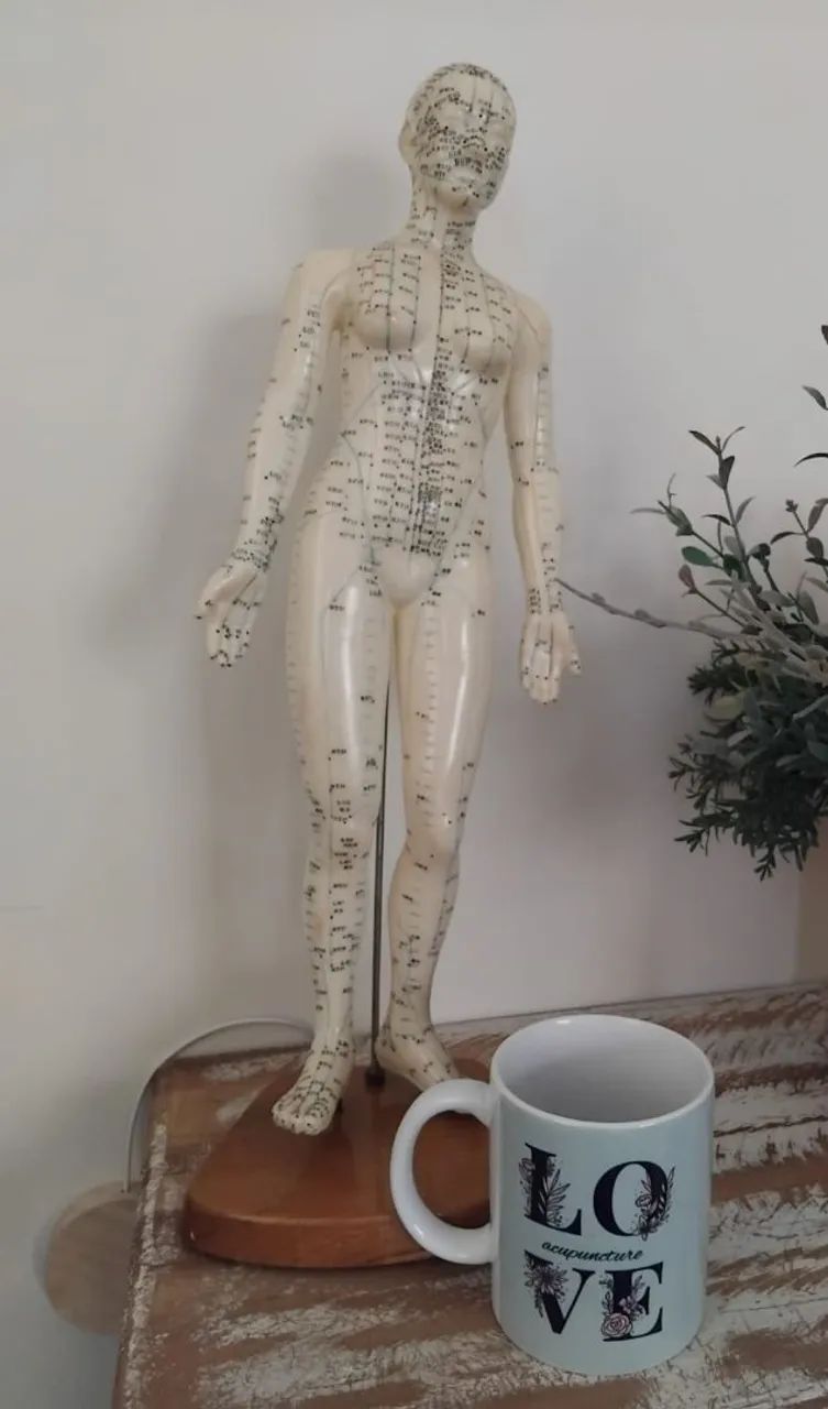 Boneco de silicone para acupuntura 