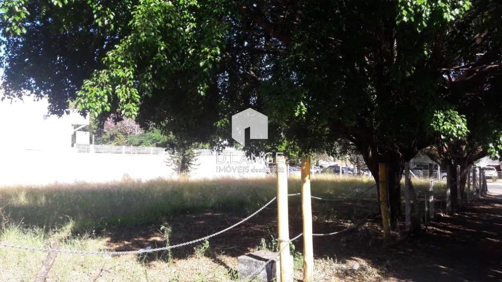 Terreno à venda e para alugar em Campinas, Bosque de Barão Geraldo, com 700 m² - Foto 5