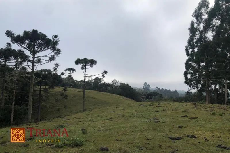 TERRENO DE 12 HECTARES COM FÁCIL ACESSO