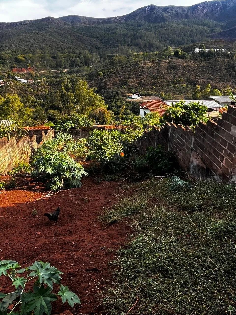 Lote 500 m - Passagem de Mariana - Foto 5