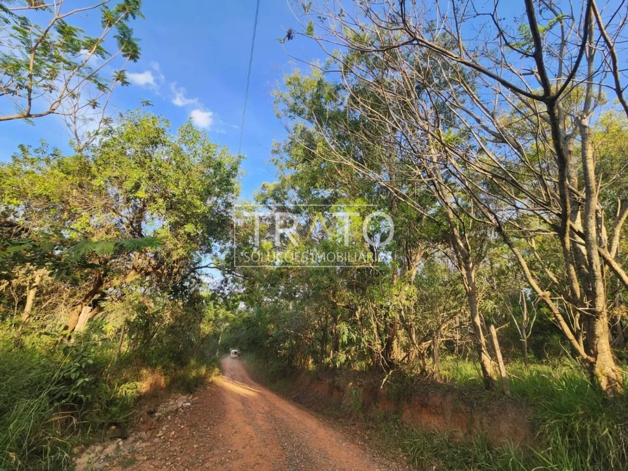 terreno - Carlos Gomes - Campinas - Foto 2