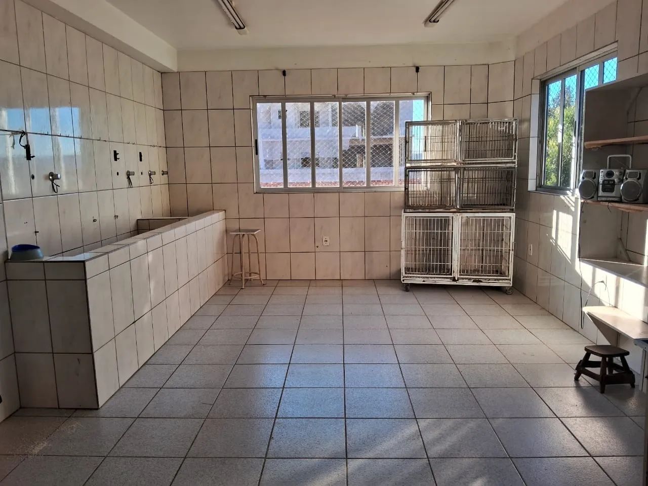 Sala Comercial - Ideal para Pet shop - Foto 2