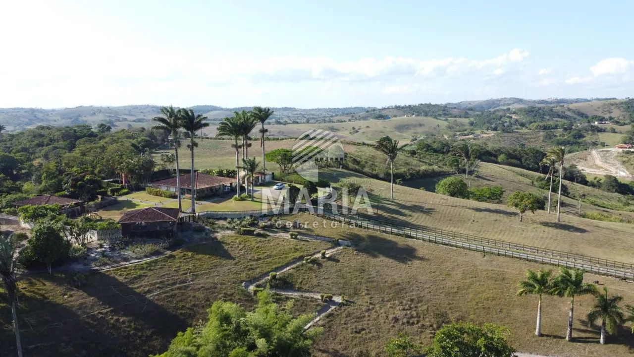 Fazenda à venda com 300 hectares com excelente acesso e uma extraordinária vista!! - Foto 5