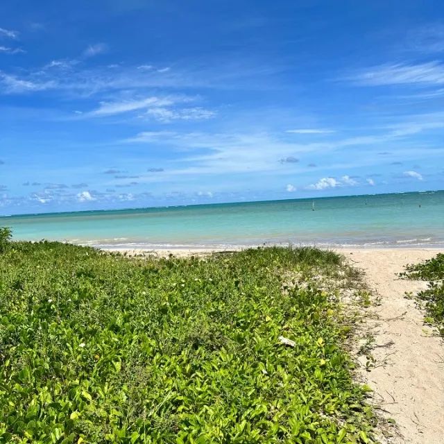TERRENO DE 1.268M² NA PRAIA DO RIACHO - SÃO MIGUEL DOS MILAGRES - Foto 4