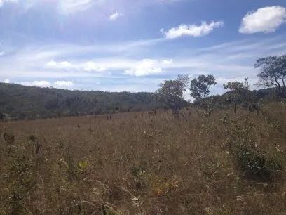 Fazenda - Teresina de Goiás - Foto 4