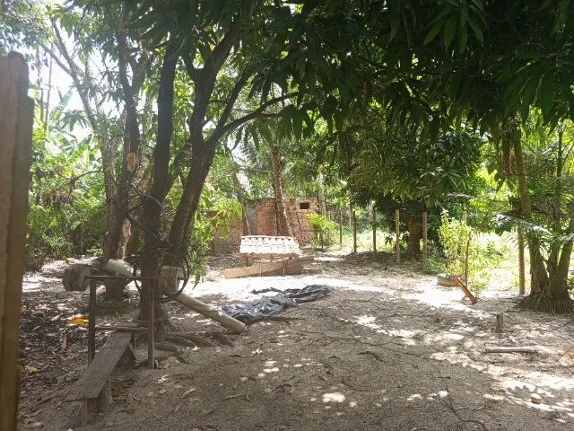 645m2 - Foto 3