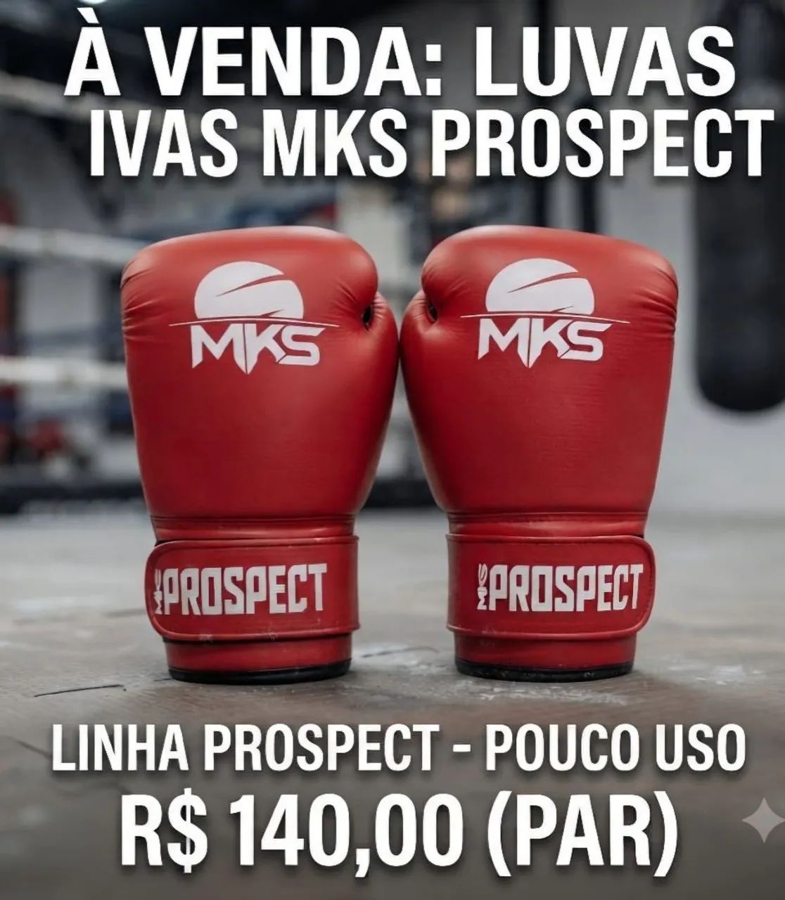 Luva de Boxe/Muay Thai MKS
