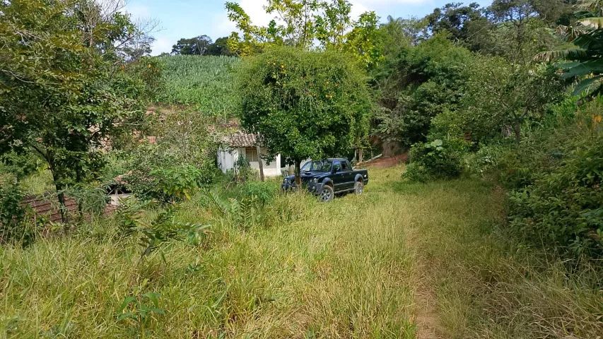 Sítio 7 hectares com cachoeira e nascente, casa e bananal a 82 km de BH - Foto 5