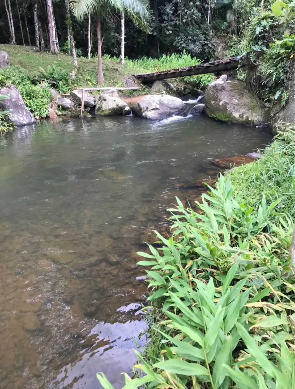 Alugo Sítio por Diária ou Pacote - Foto 2