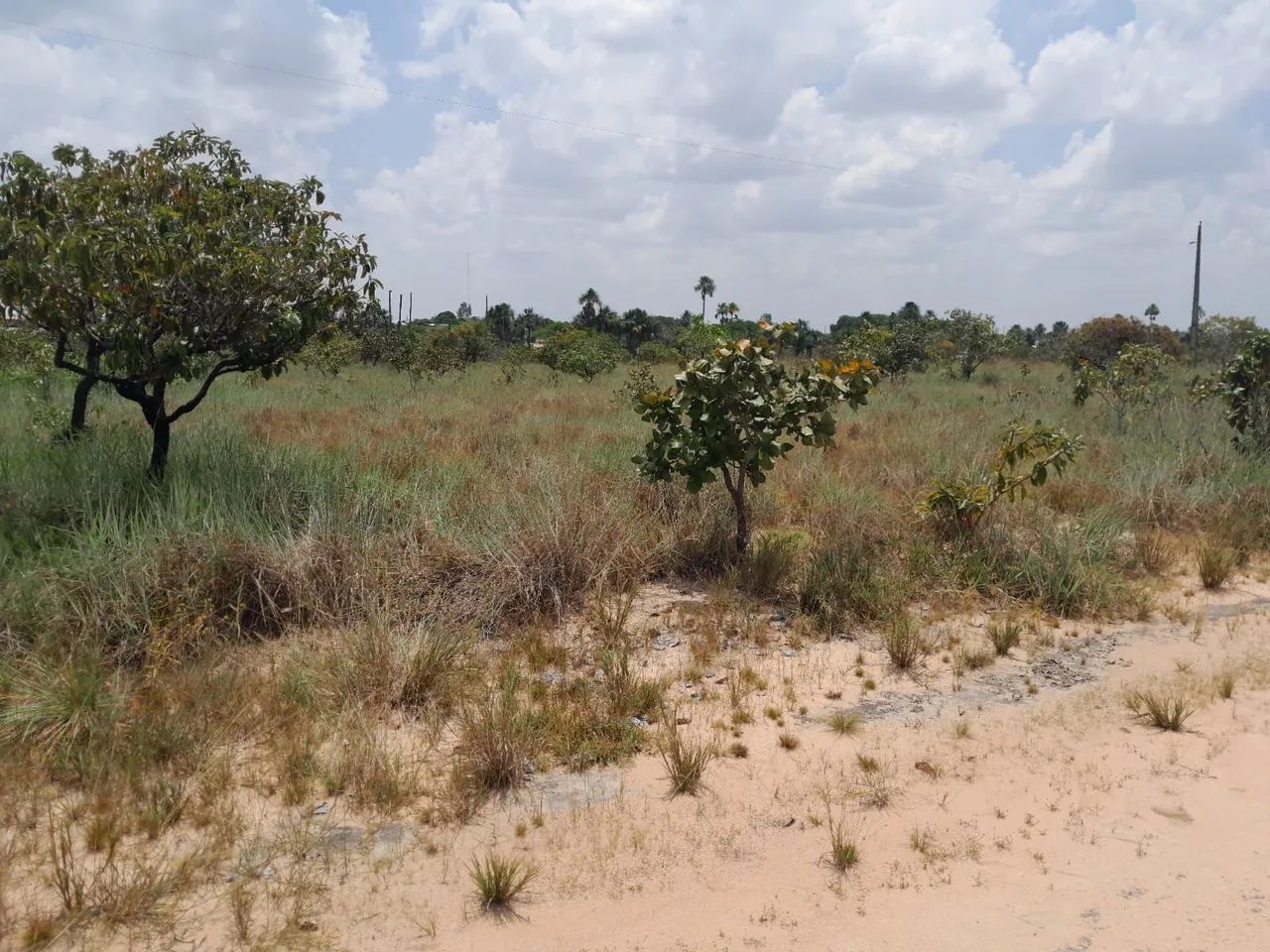 Vendo terrenos de chácara - Foto 5
