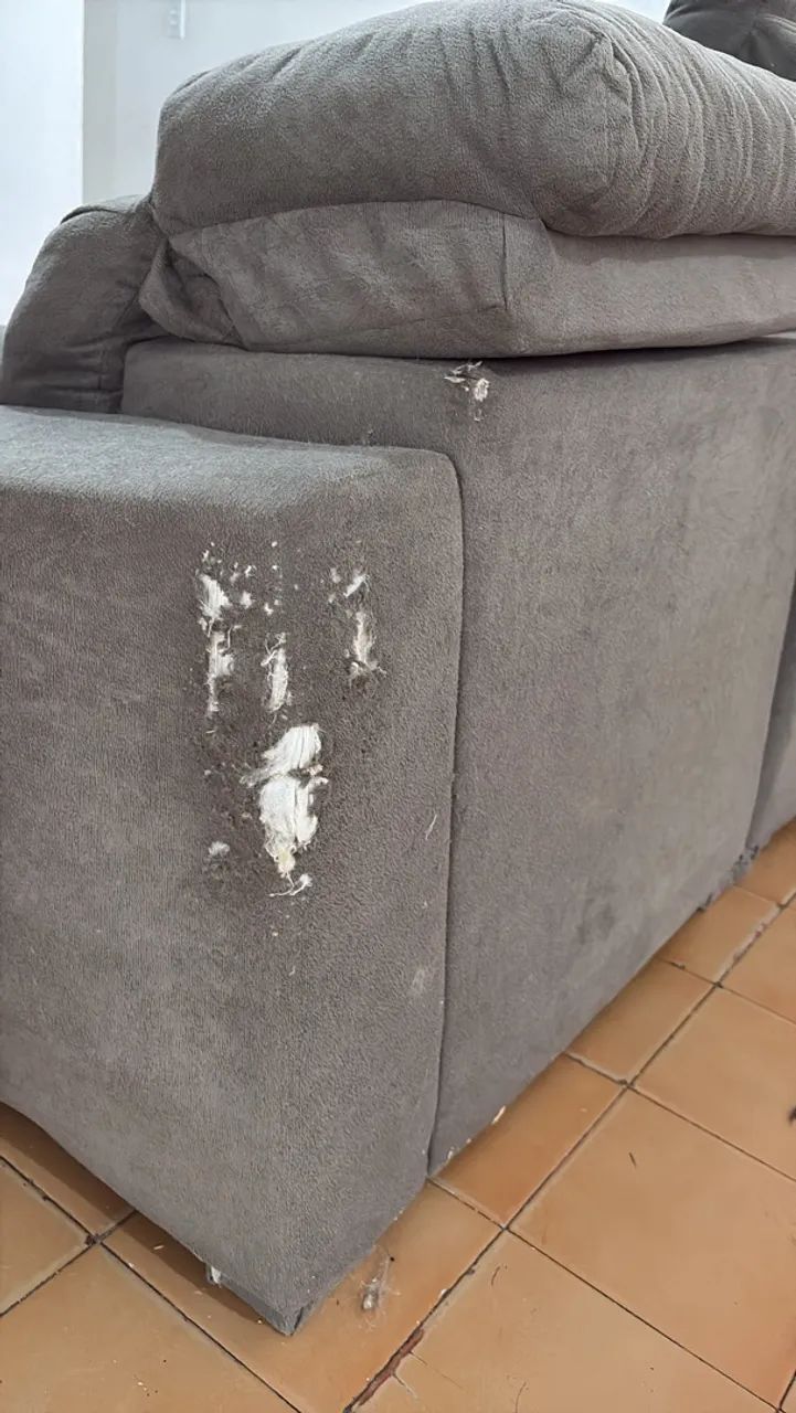 Doação  - Foto 2