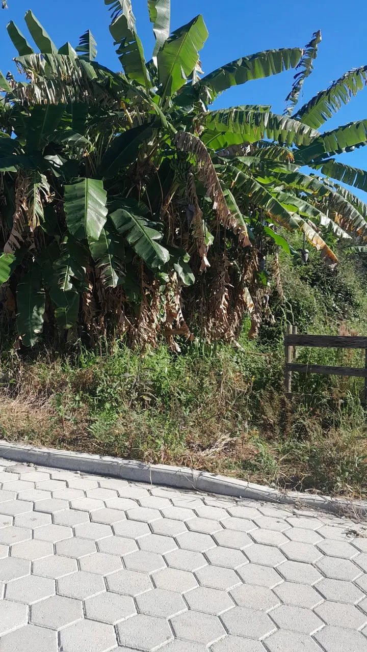 Vendo lote no centro Águas mornas sc 